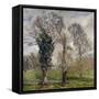 The Ivy in the Woods of Villa Borghese-null-Framed Stretched Canvas