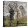 The Ivy in the Woods of Villa Borghese-null-Stretched Canvas