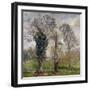 The Ivy in the Woods of Villa Borghese-null-Framed Giclee Print