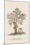 The Jac Tree-Baron De Montalemert-Mounted Art Print
