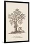 The Jac Tree-Baron De Montalemert-Framed Art Print