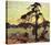 The Jack Pine-Tom Thomson-Stretched Canvas