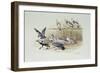 The Jackdaw and the Doves-Randolph Caldecott-Framed Giclee Print