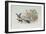 The Jackdaw and the Doves-Randolph Caldecott-Framed Giclee Print