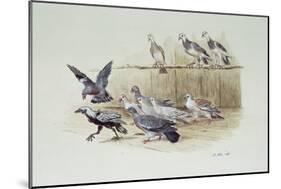 The Jackdaw and the Doves-Randolph Caldecott-Mounted Giclee Print