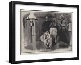 The Jackson-Harmsworth Polar Expedition-Cecil Aldin-Framed Giclee Print