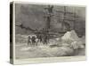 The Jackson-Harmsworth Polar Expedition-Charles William Wyllie-Stretched Canvas