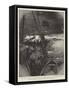 The Jackson-Harmsworth Polar Expedition-Charles William Wyllie-Framed Stretched Canvas