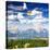 The Jackson Lake in Grand Teton-Gary718-Stretched Canvas