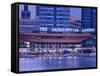 The Jacksonville Landing, Jacksonville, Florida, United States of America, North America-Richard Cummins-Framed Stretched Canvas