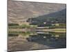 The Jacobite, Fort William to Mallaig Railway, Loch Eil, Lochaber, Scotland, United Kingdom, Europe-Jean Brooks-Mounted Photographic Print