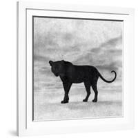 The Jaguar 2-Ata Alishahi-Framed Giclee Print