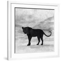 The Jaguar 2-Ata Alishahi-Framed Giclee Print