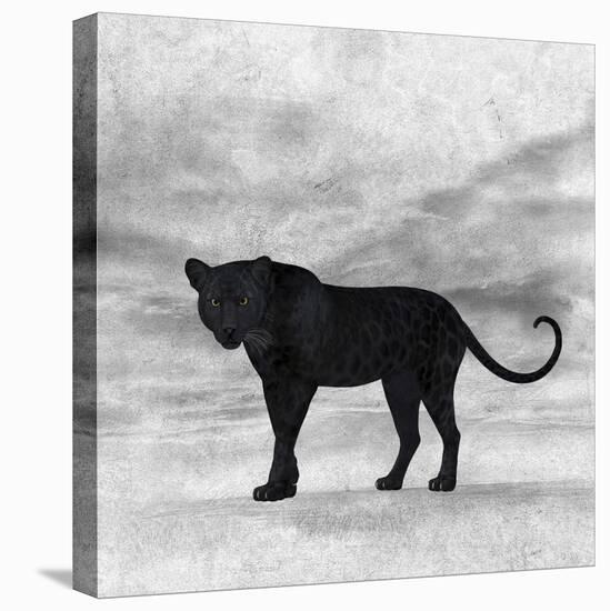 The Jaguar 2-Ata Alishahi-Stretched Canvas