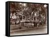 The Janer Family, Staff and Guests at Janer's Pavilion Hotel, Red Bank, New Jersey, 1903-Byron Company-Framed Stretched Canvas