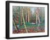 The January Path-Noel Paine-Framed Giclee Print