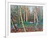 The January Path-Noel Paine-Framed Giclee Print