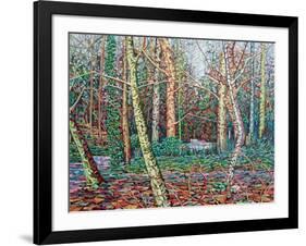 The January Path-Noel Paine-Framed Giclee Print