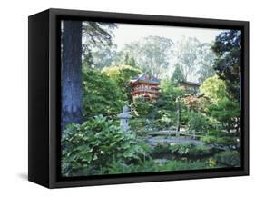 The Japanese Tea Garden, Golden Gate Park, San Francisco, California, USA-Fraser Hall-Framed Stretched Canvas