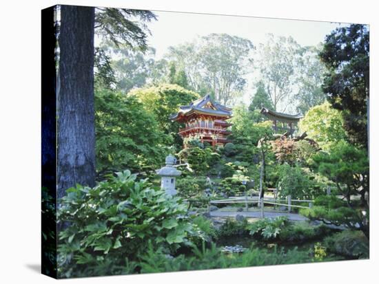 The Japanese Tea Garden, Golden Gate Park, San Francisco, California, USA-Fraser Hall-Stretched Canvas