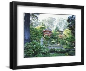 The Japanese Tea Garden, Golden Gate Park, San Francisco, California, USA-Fraser Hall-Framed Photographic Print