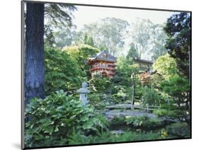 The Japanese Tea Garden, Golden Gate Park, San Francisco, California, USA-Fraser Hall-Mounted Photographic Print