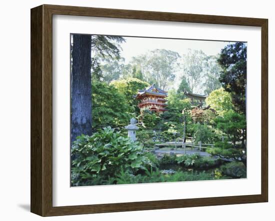 The Japanese Tea Garden, Golden Gate Park, San Francisco, California, USA-Fraser Hall-Framed Photographic Print