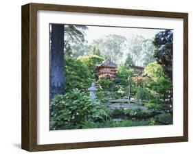 The Japanese Tea Garden, Golden Gate Park, San Francisco, California, USA-Fraser Hall-Framed Photographic Print