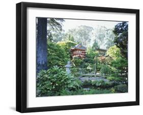 The Japanese Tea Garden, Golden Gate Park, San Francisco, California, USA-Fraser Hall-Framed Photographic Print