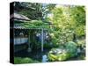 The Japanese Tea Garden, Golden Gate Park, San Francisco, USA-Fraser Hall-Stretched Canvas