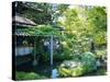 The Japanese Tea Garden, Golden Gate Park, San Francisco, USA-Fraser Hall-Stretched Canvas