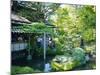 The Japanese Tea Garden, Golden Gate Park, San Francisco, USA-Fraser Hall-Mounted Photographic Print