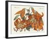 The Japanese Tiger Lily-null-Framed Giclee Print