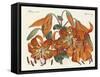 The Japanese Tiger Lily-null-Framed Stretched Canvas