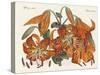 The Japanese Tiger Lily-null-Stretched Canvas