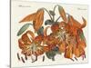 The Japanese Tiger Lily-null-Stretched Canvas