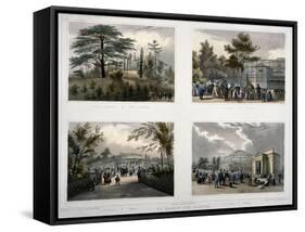 The Jardin Des Plantes in Paris: Cedar and the Labyrinth, the Giraffe, Pheasants, Monkeys-Julien Jacottet-Framed Stretched Canvas