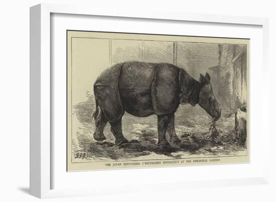 The Javan Rhinoceros (Rhinoceros Sondaicus) at the Zoological Gardens-null-Framed Giclee Print