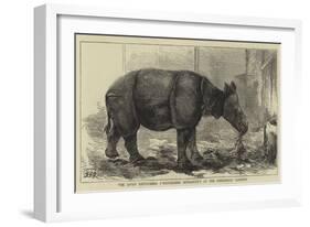 The Javan Rhinoceros (Rhinoceros Sondaicus) at the Zoological Gardens-null-Framed Giclee Print