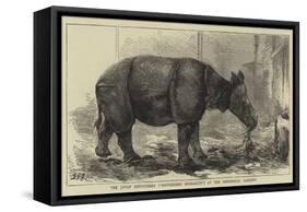 The Javan Rhinoceros (Rhinoceros Sondaicus) at the Zoological Gardens-null-Framed Stretched Canvas