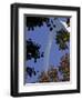 The Jefferson National Expansion Memorial on its 40th Birthday-null-Framed Photographic Print