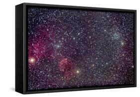 The Jellyfish Nebula and Associated Nebulosity-null-Framed Stretched Canvas