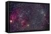 The Jellyfish Nebula and Associated Nebulosity-null-Framed Stretched Canvas