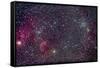 The Jellyfish Nebula and Associated Nebulosity-null-Framed Stretched Canvas