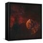 The Jellyfish Nebula-Stocktrek Images-Framed Stretched Canvas
