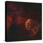 The Jellyfish Nebula-Stocktrek Images-Stretched Canvas