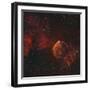 The Jellyfish Nebula-Stocktrek Images-Framed Premium Photographic Print