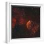 The Jellyfish Nebula-Stocktrek Images-Framed Premium Photographic Print