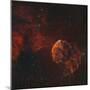 The Jellyfish Nebula-Stocktrek Images-Mounted Premium Photographic Print