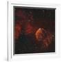 The Jellyfish Nebula-Stocktrek Images-Framed Photographic Print